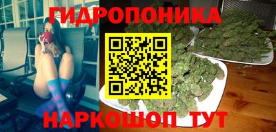 крисы Гусиноозёрск